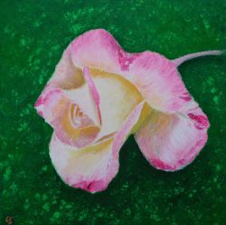 Painting: Rose